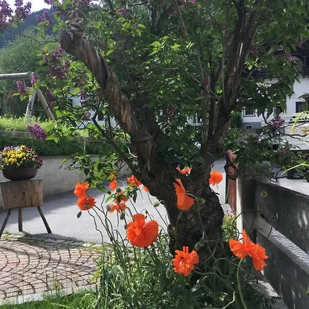 Arlenheim Гостевой дом 3*