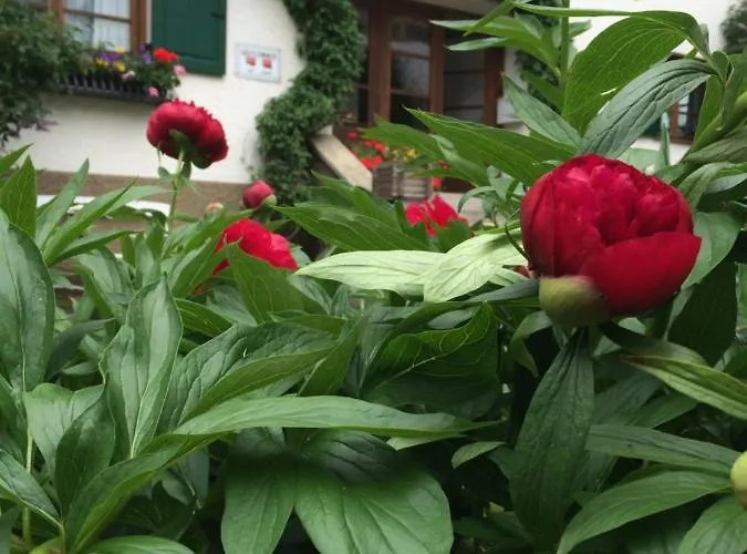 Arlenheim 3* Sankt Anton am Arlberg