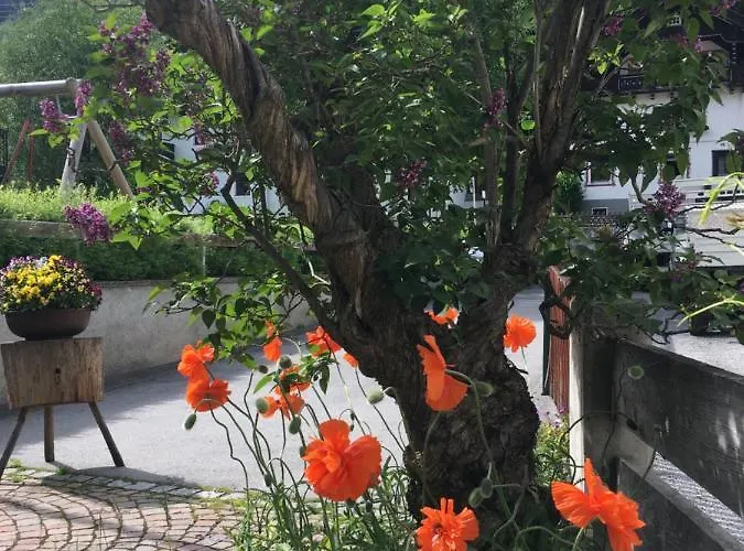 Arlenheim Casa de hóspedes 3*